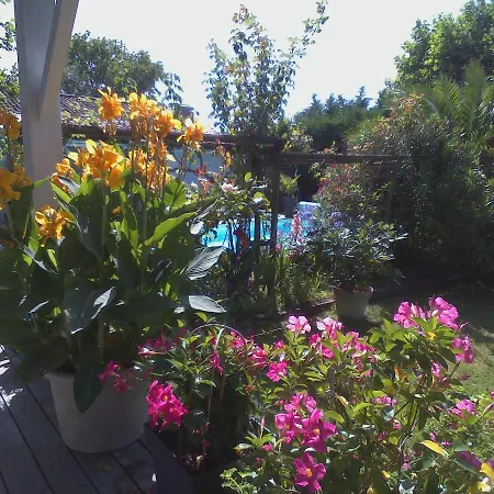 Les Arums De Fondeminjean